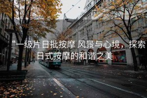 “一級片日批按摩 風(fēng)景與心境，探索日式按摩的和諧之美
