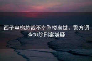 西子電梯總裁不幸墜樓離世，警方調查排除刑案嫌疑