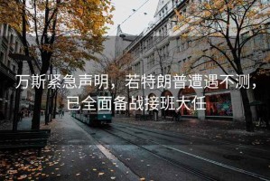 萬(wàn)斯緊急聲明，若特朗普遭遇不測，已全面備戰接班大任