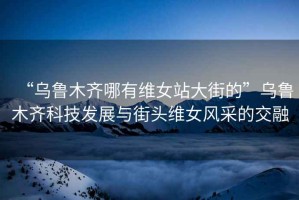 “烏魯木齊哪有維女站大街的”烏魯木齊科技發(fā)展與街頭維女風(fēng)采的交融