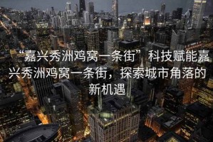 “嘉興秀洲雞窩一條街”科技賦能嘉興秀洲雞窩一條街，探索城市角落的新機遇
