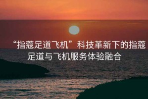 “指蔻足道飛機”科技革新下的指蔻足道與飛機服務(wù)體驗融合