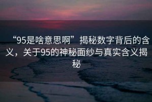 “95是啥意思啊”揭秘數字背后的含義，關(guān)于95的神秘面紗與真實(shí)含義揭秘