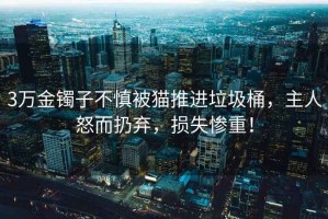 3萬(wàn)金鐲子不慎被貓推進(jìn)垃圾桶，主人怒而扔棄，損失慘重！
