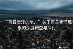 “曹縣賣(mài)淫的地方”關(guān)于曹縣賣(mài)淫現象的深度調查與探討