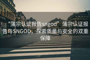“蒲宗認證報告sngod”蒲宗認證報告與SNGOD，探索質(zhì)量與安全的雙重保障
