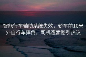 智能行車(chē)輔助系統失效，轎車(chē)前10米外自行車(chē)摔倒，司機遭索賠引熱議