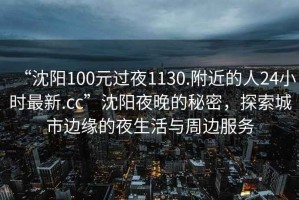 “沈陽(yáng)100元過(guò)夜1130.附近的人24小時(shí)最新.cc”沈陽(yáng)夜晚的秘密，探索城市邊緣的夜生活與周邊服務(wù)