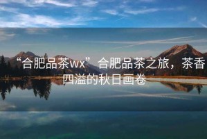 “合肥品茶wx”合肥品茶之旅，茶香四溢的秋日畫(huà)卷