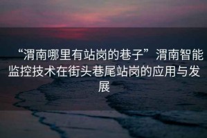 “渭南哪里有站崗的巷子”渭南智能監控技術(shù)在街頭巷尾站崗的應用與發(fā)展