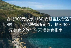 “合肥300元快餐1130.去哪里找合適24小時(shí).cc”合肥快餐新潮流，探索300元美食之旅與全天候美食指南