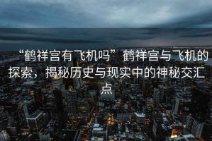 “鶴祥宮有飛機嗎”鶴祥宮與飛機的探索，揭秘歷史與現實(shí)中的神秘交匯點(diǎn)