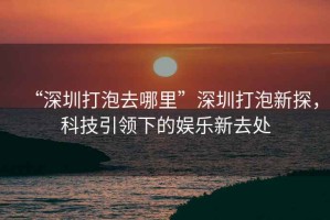 “深圳打泡去哪里”深圳打泡新探，科技引領(lǐng)下的娛樂(lè )新去處
