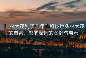 “林大茂判了幾年”科技巨頭林大茂的審判，影響深遠的案例與啟示