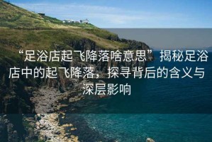 “足浴店起飛降落啥意思”揭秘足浴店中的起飛降落，探尋背后的含義與深層影響