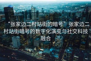 “張家邊二村站街的暗號”張家邊二村站街暗號的數字化演變與社交科技融合
