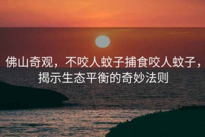 佛山奇觀(guān)，不咬人蚊子捕食咬人蚊子，揭示生態(tài)平衡的奇妙法則
