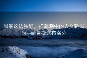 風(fēng)景這邊獨好，掃墓潮中的人文新風(fēng)尚—給曹操送布洛芬