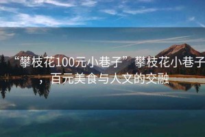 “攀枝花100元小巷子”攀枝花小巷子，百元美食與人文的交融