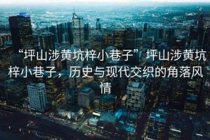 “坪山涉黃坑梓小巷子”坪山涉黃坑梓小巷子，歷史與現代交織的角落風(fēng)情