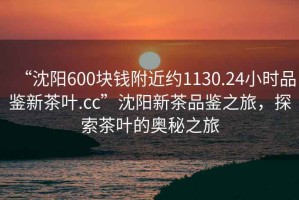 “沈陽(yáng)600塊錢(qián)附近約1130.24小時(shí)品鑒新茶葉.cc”沈陽(yáng)新茶品鑒之旅，探索茶葉的奧秘之旅