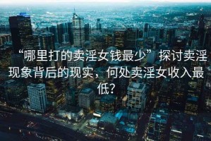 “哪里打的賣(mài)淫女錢(qián)最少”探討賣(mài)淫現象背后的現實(shí)，何處賣(mài)淫女收入最低？