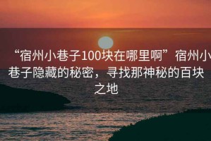 “宿州小巷子100塊在哪里啊”宿州小巷子隱藏的秘密，尋找那神秘的百塊之地