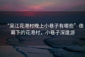 “吳江花港村晚上小巷子有哪些”夜幕下的花港村，小巷子深度游
