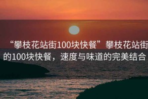 “攀枝花站街100塊快餐”攀枝花站街的100塊快餐，速度與味道的完美結合