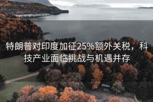 特朗普對印度加征25%額外關(guān)稅，科技產(chǎn)業(yè)面臨挑戰與機遇并存
