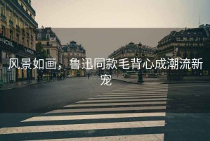 風(fēng)景如畫(huà)，魯迅同款毛背心成潮流新寵