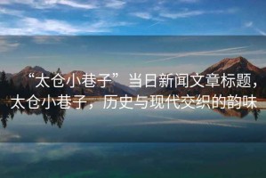 “太倉小巷子”當日新聞文章標題，太倉小巷子，歷史與現代交織的韻味