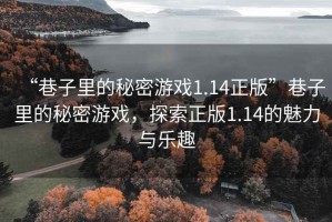 “巷子里的秘密游戲1.14正版”巷子里的秘密游戲，探索正版1.14的魅力與樂(lè )趣