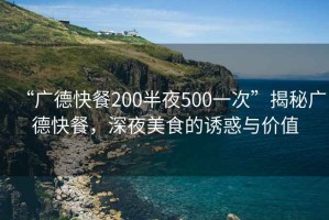 “廣德快餐200半夜500一次”揭秘廣德快餐，深夜美食的誘惑與價(jià)值