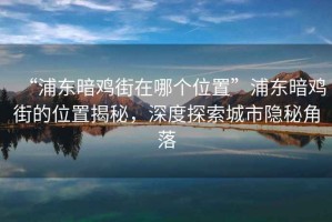 “浦東暗雞街在哪個(gè)位置”浦東暗雞街的位置揭秘，深度探索城市隱秘角落