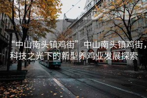 “中山南頭鎮雞街”中山南頭鎮雞街，科技之光下的新型養雞業(yè)發(fā)展探索