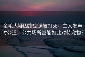 金毛犬疑因蹭空調被打死，主人發(fā)聲討公道，公共場(chǎng)所豈能如此對待寵物？