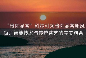 “貴陽(yáng)品茶”科技引領(lǐng)貴陽(yáng)品茶新風(fēng)尚，智能技術(shù)與傳統茶藝的完美結合