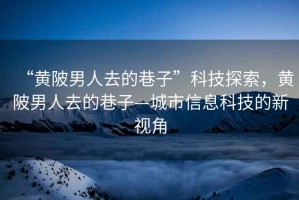 “黃陂男人去的巷子”科技探索，黃陂男人去的巷子—城市信息科技的新視角