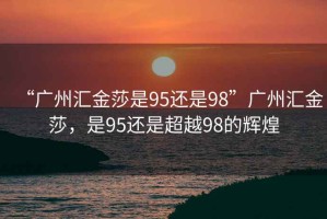 “廣州匯金莎是95還是98”廣州匯金莎，是95還是超越98的輝煌