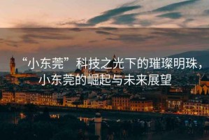 “小東莞”科技之光下的璀璨明珠，小東莞的崛起與未來(lái)展望