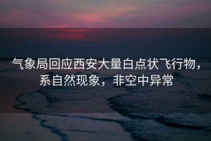 氣象局回應西安大量白點(diǎn)狀飛行物，系自然現象，非空中異常