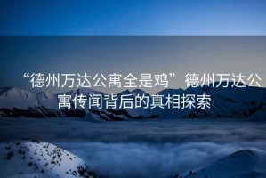 “德州萬(wàn)達公寓全是雞”德州萬(wàn)達公寓傳聞背后的真相探索