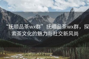 “撫順品茶wx群”撫順品茶wx群，探索茶文化的魅力與社交新風(fēng)尚