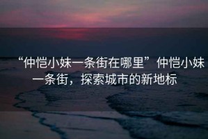 “仲愷小妹一條街在哪里”仲愷小妹一條街，探索城市的新地標