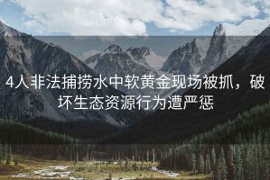 4人非法捕撈水中軟黃金現場(chǎng)被抓，破壞生態(tài)資源行為遭嚴懲