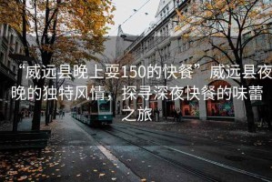 “威遠縣晚上耍150的快餐”威遠縣夜晚的獨特風(fēng)情，探尋深夜快餐的味蕾之旅