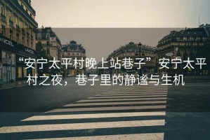 “安寧太平村晚上站巷子”安寧太平村之夜，巷子里的靜謐與生機