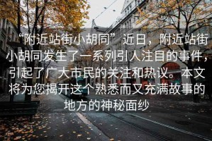 “附近站街小胡同”近日，附近站街小胡同發(fā)生了一系列引人注目的事件，引起了廣大市民的關(guān)注和熱議。本文將為您揭開(kāi)這個(gè)熟悉而又充滿(mǎn)故事的地方的神秘面紗
