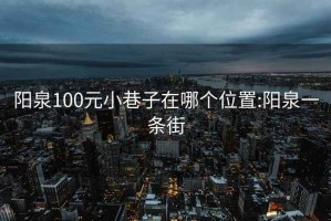 陽(yáng)泉100元小巷子在哪個(gè)位置:陽(yáng)泉一條街
